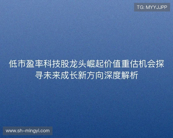 低市盈率科技股龙头崛起价值重估机会探寻未来成长新方向深度解析
